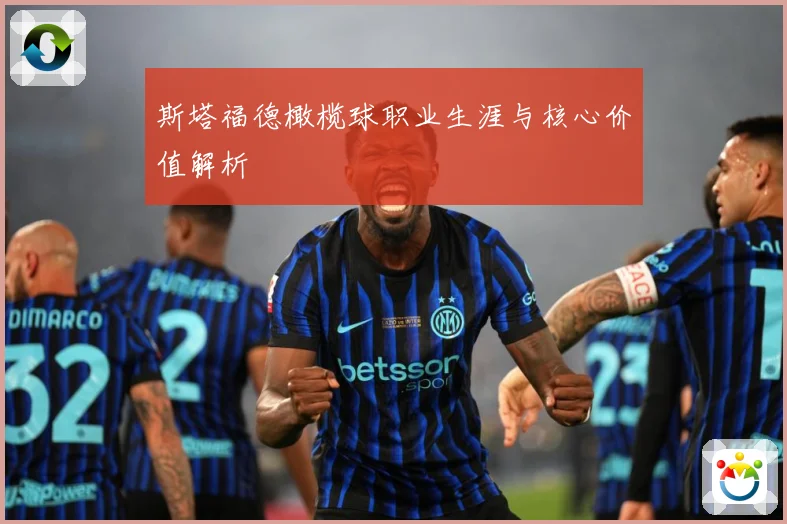 斯塔福德橄榄球职业生涯与核心价值解析